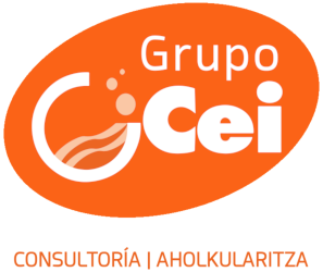 cei-consultoria